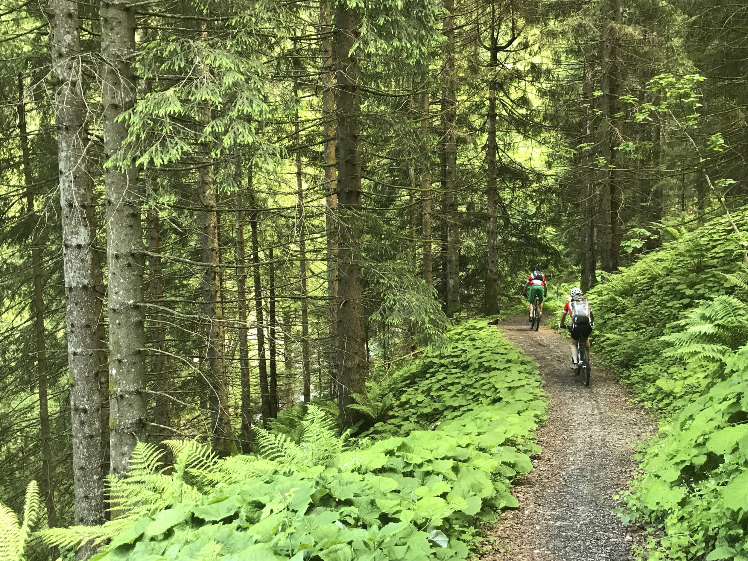Biketour-Sesemann_Pizolbahnen_01