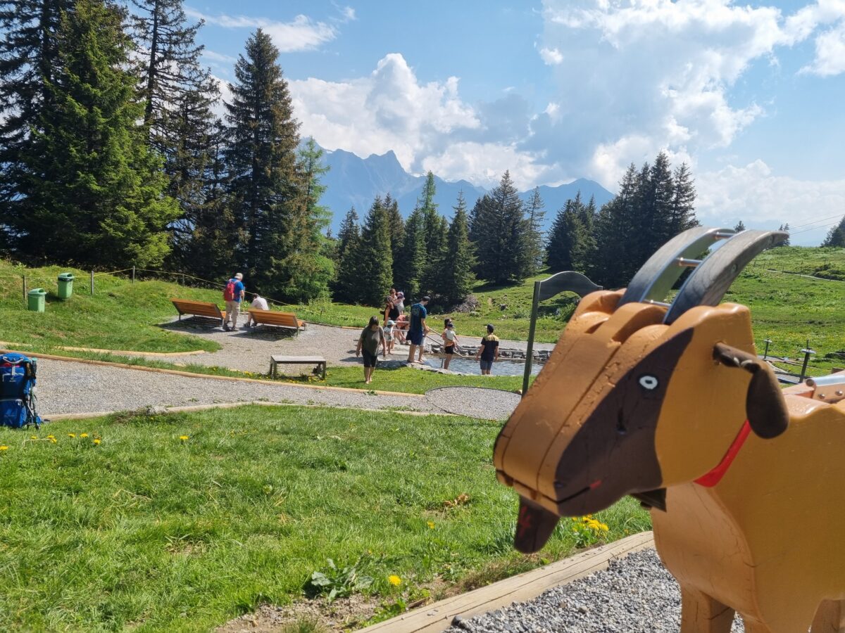 Der Heidipfad am Pizol